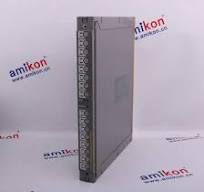ICS TRIPLEX T8310C Control Board Supplier,ICS TRIPLEX T8310C ...