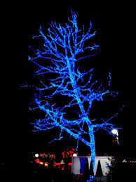 Dollywood Christmas Dollywood Christmas Gatlinburg Christmas Dream Holiday