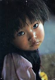 Jane Babin (janebabjb)