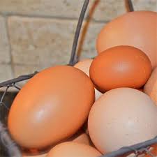 Pembersihan kandang dari kotoran baiknya dilakukan. Telur Ayam
