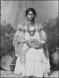 Traditional Cherokee Wedding Dress Native American Wedding Native American Wedding Dress American Wedding