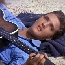 Need help with an elvis movie that I remember very little about. He and his  poor family were travelling somewhere and broke down, seems like a Florida  location. They started a fishing