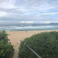 Cellito beach is a great surf beach with sweeping views towards seal rocks. Cellito Beach Our Magical Hidden Gem Also Known As Sandbar Cellito Offers Great Views Towards Seal Rocks As Well As Challenging Surfing The Water Is Crystal Clear And Produces Great Left
