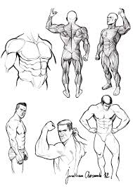 Learn how to draw male torso pictures using these outlines. Pin On Draw Anatomy Body