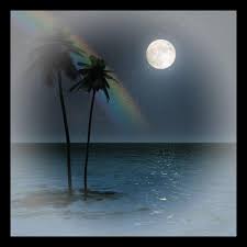 A siren sounds, like the goddess who promises endless apologies of paradise. Miracle Musical Dream Sweet In Sea Major Instrumental Lyrics Genius Lyrics