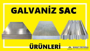 Anasayfa