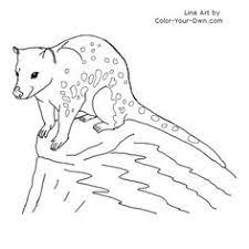 Here's a lovely colouring page to print for the kids which includes a bush full of australian animals for them to colour and enjoy! 31 Australia Ideas Animal Coloring Pages Australian Animals Coloring Pages
