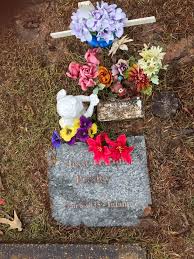 Gladys love presley was originally interred at the memphis forest hill cemetery. Jesse Garon Presley 1935 1935 Find A Grave Memorial