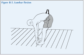 Using a goniometer, measure and report the range of motion in degrees for forward flexion, extension, left lateral flexion, right lateral flexion, left lateral rotation and right lateral rotation. Global Alliance For Musculoskeletal Health The Back