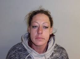 Woman Accused Of Starting Fire Under I-393 Bridge: Concord Police Log