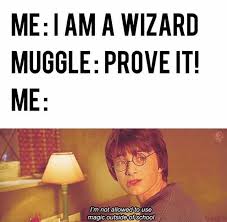 Harry Potter Memes That Are Going To Cast Rictusempra At You Cast Funny Harry Memes Potter Rict Harry Potter Puns Harry Potter Wiki Harry Potter Spells