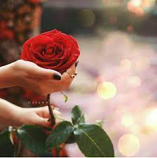 Great for all tropical flowering plants: Pin By Gulcan Hasanova On Dpzz Beautiful Rose Flowers Beautiful Roses Hand Flowers