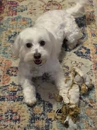 Why The Dude's goofy face is funny