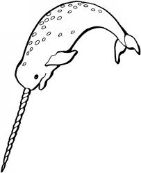 ✓ free for commercial use ✓ high quality images. Get This Free Narwhal Coloring Pages 39747
