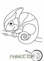 Check spelling or type a new query. Realistic Zoo Animals Coloring Pages Pdf Print Free