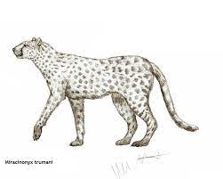Pin On Paleoart