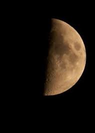 Durant la seconde quinzaine de mars : Cultiver Les Tomates Avec La Lune