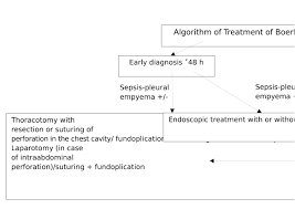 Boerhaave syndrome is rupture of the esophageal wall. Results Of Treatment For Boerhaave Syndrome Mikheev I P Pavlov Russian Medical Biological Herald