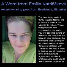 New Book Announcement! NEPC Member Roberta Batorsky's first poetry  collection, Perihelion, arrives this October from Prolific Pulse Press.  She's already shared early readings in Medford and is seeking additional  opportunities. Interested hosts