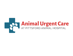 2.84 mi800 carter st rochester, ny 14621 2.84 mi. Animal Urgent Care Of Pittsford Home Facebook