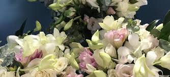 Maybe you would like to learn more about one of these? Terra Bella Floral And Gifts Grand Marais Mn Home