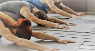 Every contemporary school, such as iyengar, viniyoga, bikram, ashtanga, and vinyasa to name a few, has its own ideas about how to sequence a practice, so you may have already been trained to sequence your classes in a particular. Corporate Yoga Create A World Class Innovative Workplace 2019