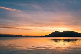 Lake County Photographer's Guild