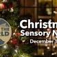 Christmas Sensory Night – December 18th