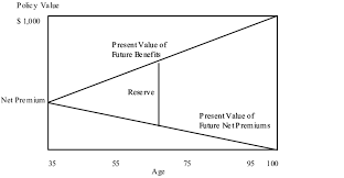 Insurance on the life of the insured for a fixed amount at a definite premium that is paid each year in the same amount. 2 Reserve For Ordinary Life Insurance Age 35 Net Level Premium Reserve Download Scientific Diagram