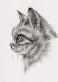 How to draw marvel superheroes. 32 Easy Cat Drawing Ideas Seni Kucing Lukisan Hewan Seni Menggambar