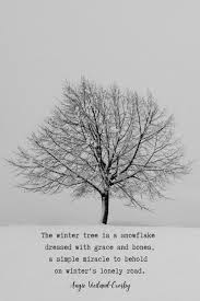 Found character 't' instead of record delimiter '\n' here is a sample row from csv. Winter Quotes To Make The Soul Sparkle Winter Quotes Snow Quotes Nature Quotes