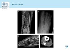 Posted by radiologyer at 8:12 am. Epos Trade