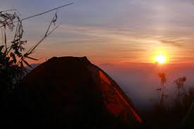 Desa selotapak berada di kecamatan trawas, kabupaten mojokerto, jawa timur. B29 Lumajang 2900mdpl