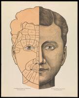 Phrenological chart; with design of head containing symbols of the  phrenological faculties, and diagrams of heads showing criminal and moral  propensities. Wood engraving, c. 1850, after F. Bridges and O.S. Fowler. |