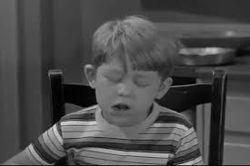 August 10, 1961] A Fair Deal for the Fairer Sex (Women, politics, and The  Andy Griffith Show)