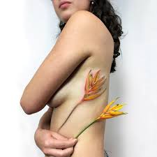 Gefallt 3 303 Mal 14 Kommentare Tattoo And Illustration Rit Kit Tattoo Auf Instagram This Amazing Flower Call Melhores Tatuagens Tatuagem Tatuagens