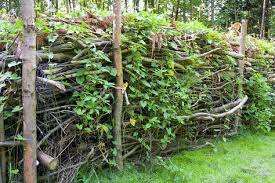 Die Benjeshecke Wertvoll Und Artenreich Naturzaun Garten Landschaftsbau Tom Garten