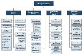 Project Organizational Structure For Feed Fid And