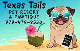 Maybe you would like to learn more about one of these? Texas Tails Pet Resort And Academy Home Facebook
