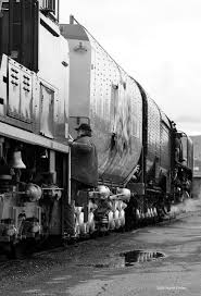 Image result for Corporate White 1983 Fleet