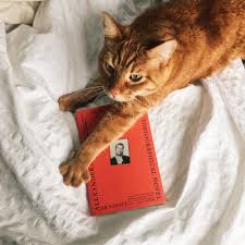 How to write an autobiographical novel is the author's manifesto on the entangling of life, literature, and politics. 67 How To Write An Autobiographical Novel The Bookstore