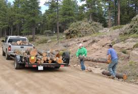About 0% of these are wood pellets, 0% are other energy related products. Pike And San Isabel National Forests Cimarron And Comanche National Grasslands Forest Products Permits