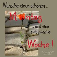 Wie wir aus der postkarte erfahren haben, hat dascha probleme mit dem kofferpacken. 120 Wochenanfang Ideen In 2021 Montag Grusse Guten Morgen Gruss Guten Morgen Montag