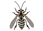 This is allgood pest solutions by david bennett productions on vimeo, the home for high quality videos and the people who love them. Residential Pest Control Allgood Pest Solutions Georgia Tennessee