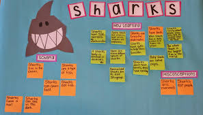 Shark Schema Chart Teaching With Intention Mrs Jumps