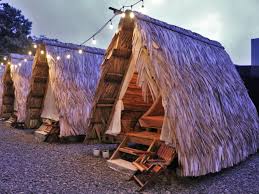Costa Rica Pura Vida Regenwald Abenteuer Dschungelhaus Waldhaus Gartenhaus Bauen