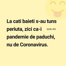 Pandemie De Paduchi In 2020 Funny Memes Funny Memes