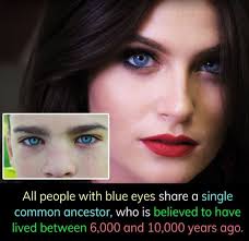 Filter made my eyes blue af 🤣