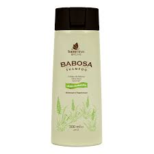 Shampoo Barro Minas Babosa 300ml