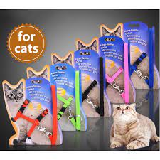 Pin On Pet Products
